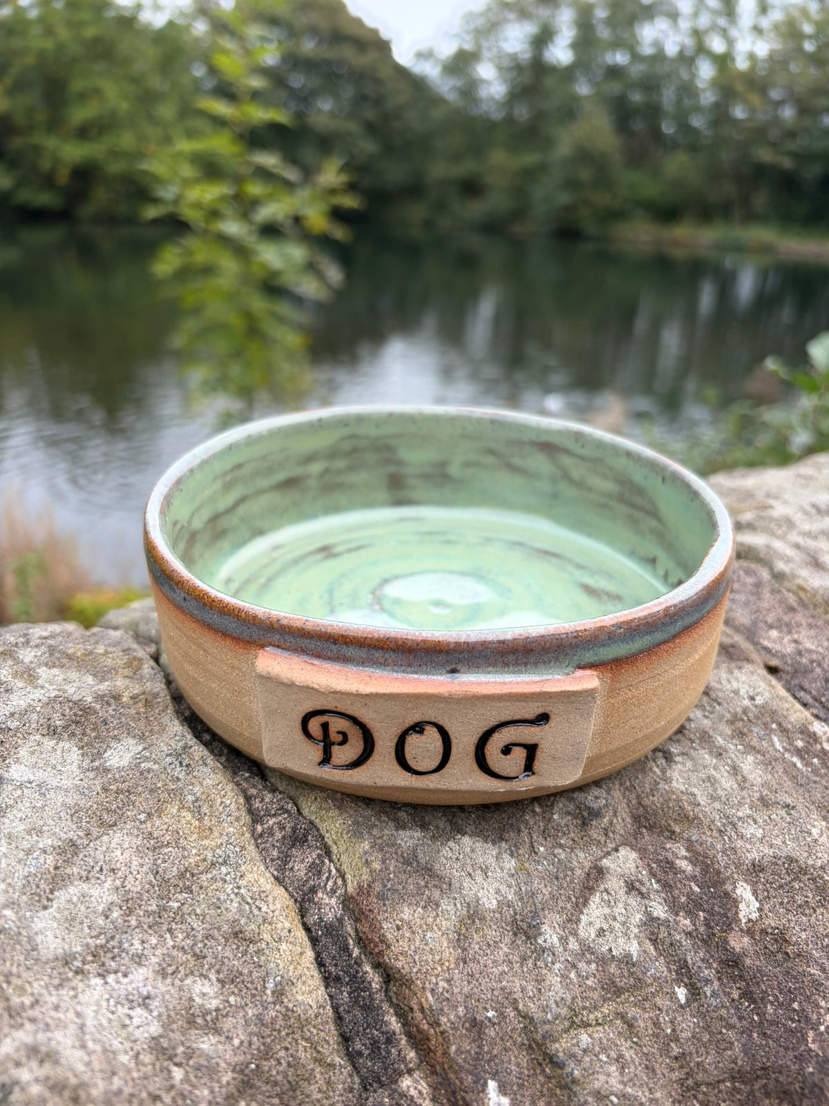 Dog Bowl