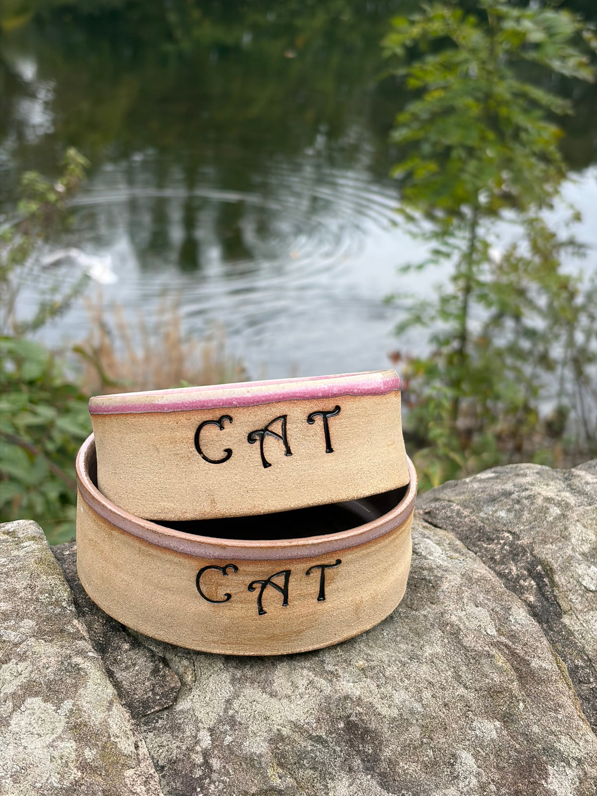 Cat Bowl